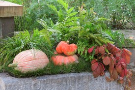 pumpkins displayed in a concrete planter with green and red vegetation